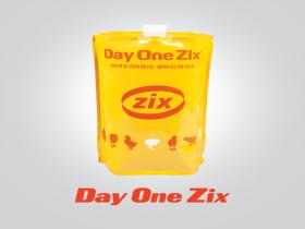 Day one zix - دی وان زیکس