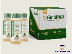 شات نوشیدنی زنجبیل جینوپاد با طعم لیمو و ریحان، انرژی زای سلامت بخش