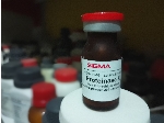 فروش پروتئیناز K و دیگر آزیمهای سلولی در شرکت زیست آزما