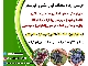 عرضه نهال آغاز گردید(مشهد نهال)