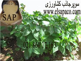 SAP- سوپر جاذب کشاورزی