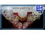 packing pall ring