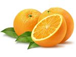 کنسانتره پرتقال ایرانی