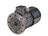 Motogen Dual speed Electric motor