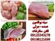 توزیع گوشت بوقلمون کشتاری تاریخ روز و بلدرچین بسته بندی در محدوده شرق تهران