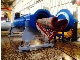 Carpet drainer and dryer