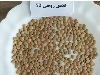 عدس ایرانی و خارجی