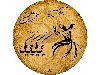 دف ترنم مدل یکی یکی