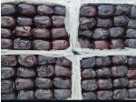 خرمای مضافتی