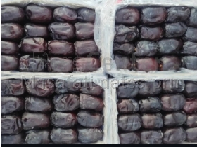 خرمای مضافتی