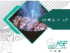 طعم دهنده پودری و مایع دود طعم دهنده باربیکیو اسانس سیر اسانس پنیر پیتزا عطر پیاز جعفری