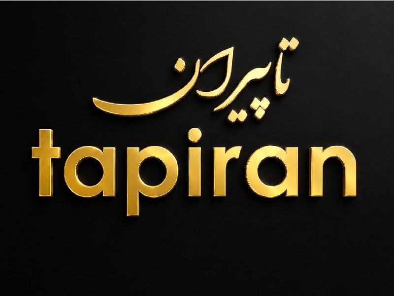 تامین پروژه ایرانیان | تاپیران - TAPIRAN