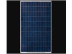 پنل خورشیدی yingli solar 300 W