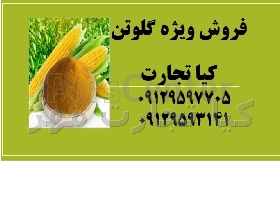 گلوتن ذرت