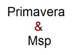 آموزش Primavera & Msp