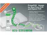 فروش تجهیزات  آزمایشگاههای ژنتیک PCR