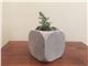 گلدان بتنی کوچک سورین دکور