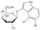 X-gal; 5-Bromo-4-chloro-3-indoxyl-beta-D-galactopyranoside