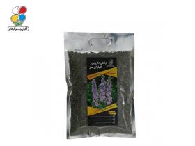 گیاه دارویی اسطوخودوس(Lavandula stoechas)