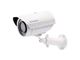دوربین تحت شبکه ژئوویژن GV-EBL1100
