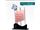 تندیس پلکسی با طرح دلخواه ،  یادبودی زیبا و ماندگار برای همایش ها ، سمینار ها و گرد همایی ها
