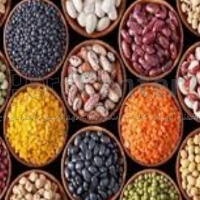 حبوبات و غلات و ادویه خشکبار