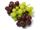 فروش و صادرات کنسانتره انگورسفیدو انگور قرمز