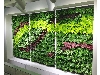 گرین وال دیوار گل دیوار طبیعت دکوراسیون