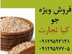 جو دامی و جو بذری