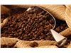 واردات قهوه برزیلی