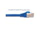 پچکورد 3 متری cat6 FTP اشنایدر اکتاسی