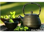 عصاره گیاه چای سبز